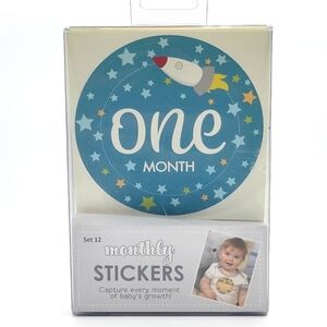 Baby Boy Monthly Sticker Set New in Package